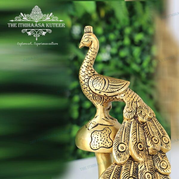 Twin Peacock <br>Decor Set